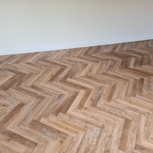 477373767_2055835338233144_1215444076636262416_n